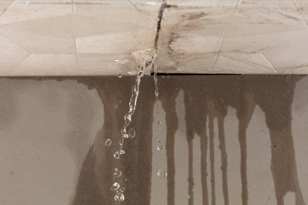 Professional Water Damage Inspection technician working in Perris, CA